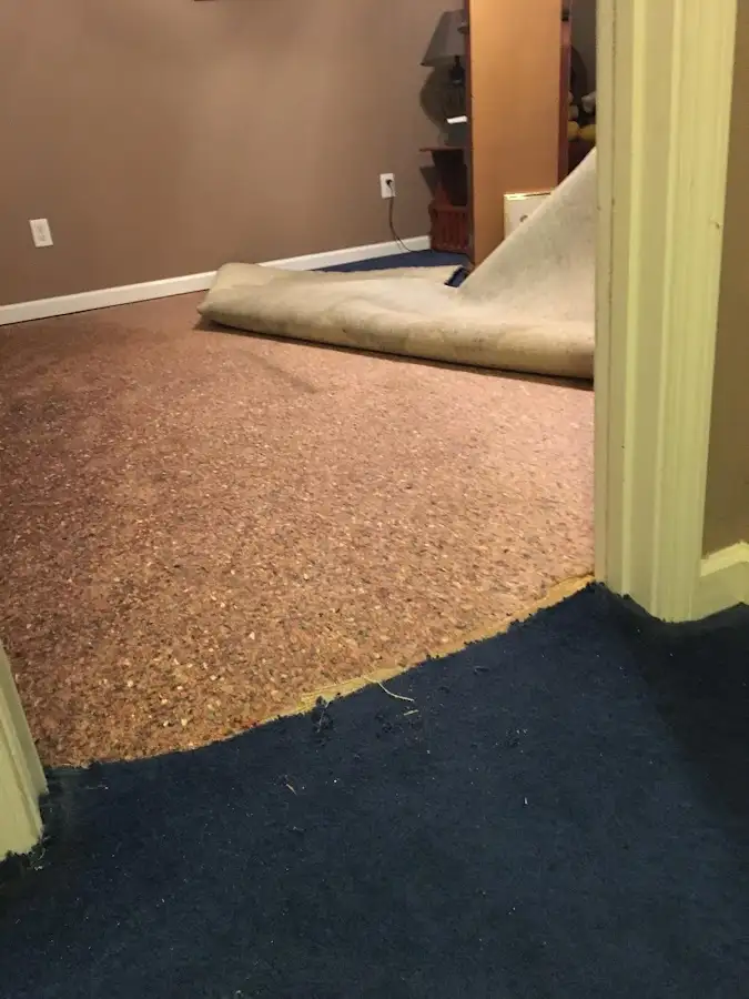 Carpet pad removal revealing water damage during Water Mitigation Services in Abilene
